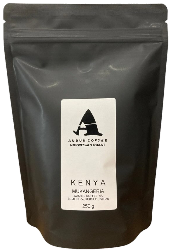 Kenya Mukengeria