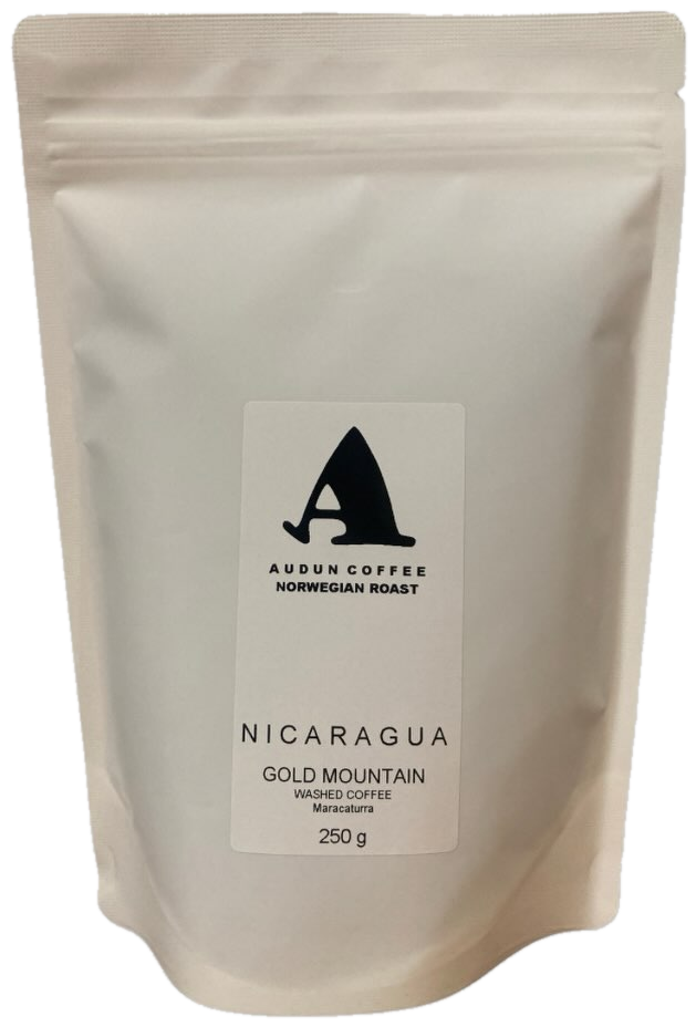 Nicaragua Gold Mountain